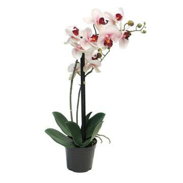 Kunstorchidee Phalaenopsis CHENXU, rosa-creme, 50cm