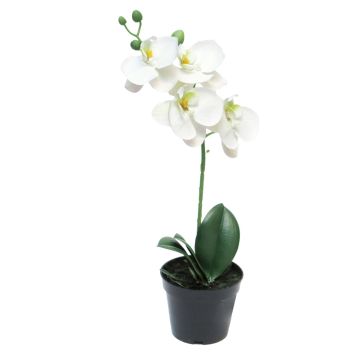 Kunstorchidee Phalaenopsis CHENXU, weiß, 35cm