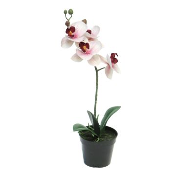 Kunstorchidee Phalaenopsis CHENXU, rosa-creme, 35cm