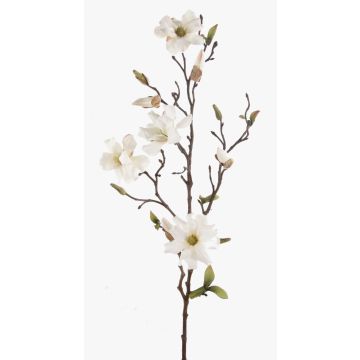 Künstliche Magnolie LILO, creme, 75cm, Ø5-9cm
