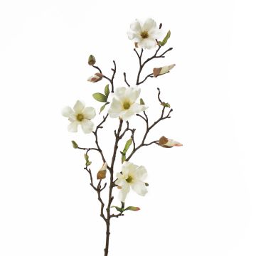 Künstliche Magnolie LILO, creme, 75cm, Ø5-9cm