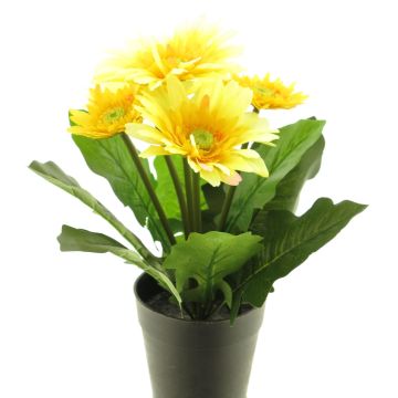 Künstliche Blume Gerbera XIAOOU im Dekotopf, gelb, 25cm Künstliche Blume Gerbera XIAOOU im Dekotopf, gelb, 25cm
