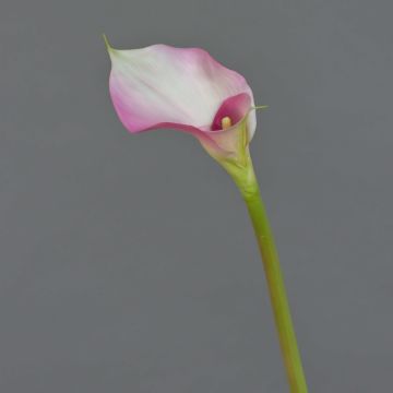 Kunst Calla MARIOLA, rosa-weiß, 80cm, 8x15cm