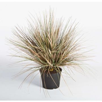 Kunst Dünengras FABIAN, grün-braun, 65cm