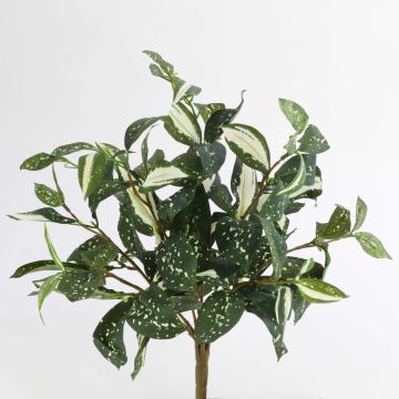 Plastik Keulenlilie TAKARA zum Stecken, grün-weiß, 35cm