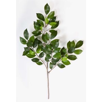 Kunst Ficus Benjamini Zweig AJITH, grün, 45cm Kunst Ficus Benjamini Zweig AJITH, grün, 45cm