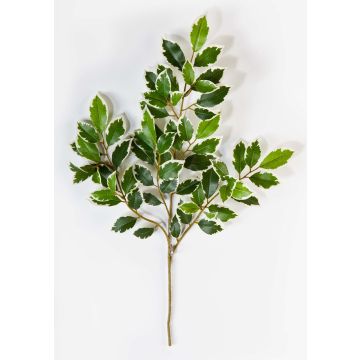 Kunst Ficus Benjamini Zweig AJITH, grün-weiß, 45cm Kunst Ficus Benjamini Zweig AJITH, grün-weiß, 45cm