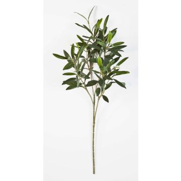 Deko Olivenzweig KONSTANTINOS, 50cm Deko Olivenzweig KONSTANTINOS, 50cm