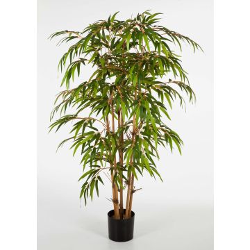 Deko Bambuspflanze HIROSHI, Natur Bambusrohre, 90cm Deko Bambuspflanze HIROSHI, Natur Bambusrohre, 90cm