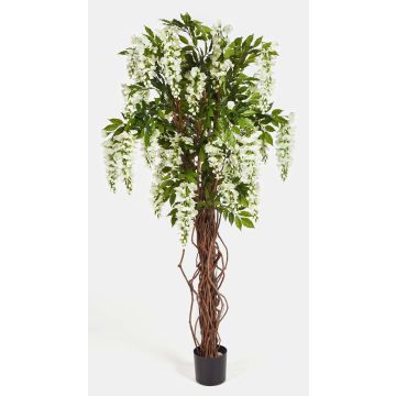 Deko Goldregen ARIANA, Echtstämme, mit Blüten, weiß, 180cm