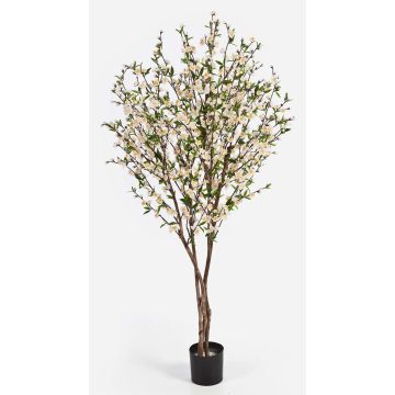 Plastik Kirschbaum ZADAR, Echtstämme, Blüten, weiß, 140cm