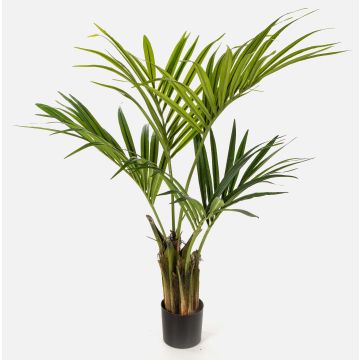 Kunst Kentia Palme OMAYRA, 110cm