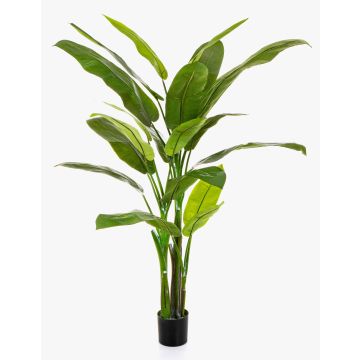 Kunststoffschaum Heliconia VESA, 170cm Kunststoffschaum Heliconia VESA, 170cm