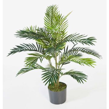 Dekopalme Areca JENNICA, 90cm