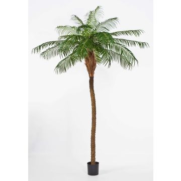 Künstliche Phönixpalme ELIZABETH, 225cm