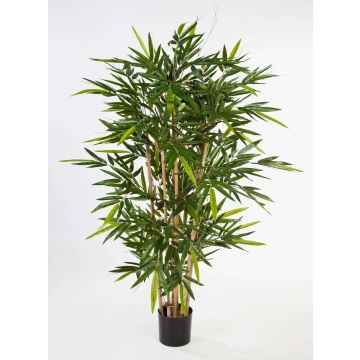 Künstlicher Bambus TARIK, Echtstämme, schwer entflammbar, 150cm