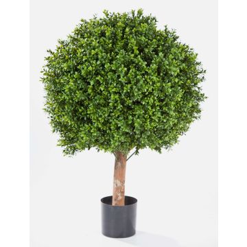Kunst Buchsbaum TOM, Echtstamm, 95cm, Ø80cm