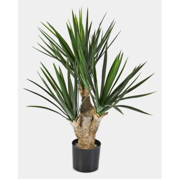 Deko Yucca Palme KEYLA, 70cm