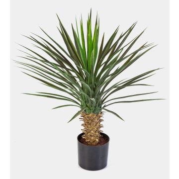 Kunst Yucca Rostrata RAFFAELA, 80cm