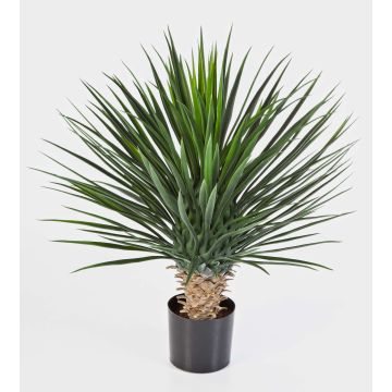 Kunst Yucca Rostrata RAFFAELA, buschig, 80cm