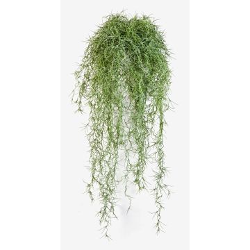 Deko Tillandsia Usneoides IRMENA, Stecker, grün, 80cm Deko Tillandsia Usneoides IRMENA, Stecker, grün, 80cm