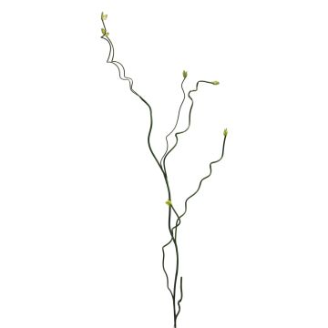 Dekozweig Korkenzieherweide PENGXI, grün, 115cm Dekozweig Korkenzieherweide PENGXI, grün, 115cm