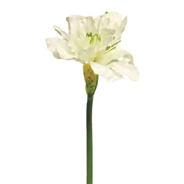 Dekoblume Amaryllis HEJIA, creme, 60cm