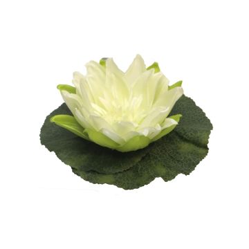 Künstliche Seerose SHUOLIN, schwimmend, creme, Ø18cm