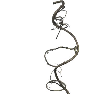 Kunst Liane Hopfen SULING, braun, 90cm Kunst Liane Hopfen SULING, braun, 90cm