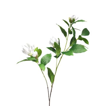 Kunst Zweig Magnolie HUANER, weiß, 130cm Kunst Zweig Magnolie HUANER, weiß, 130cm