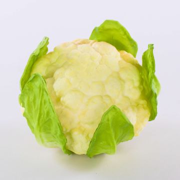 Deko Blumenkohl SINEO, weiß-grün, 10,5cm, Ø18cm