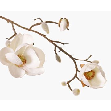 Dekozweig Magnolie KOSTAS, weiß, 55cm, Ø6-8cm Dekozweig Magnolie KOSTAS, weiß, 55cm, Ø6-8cm
