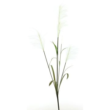 Dekozweig Pampasgras LINEN mit Rispen, weiß, 145cm
