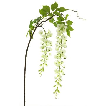 Dekoblumen Zweig Blauregen LIANMU, creme, 140cm Dekoblumen Zweig Blauregen LIANMU, creme, 140cm