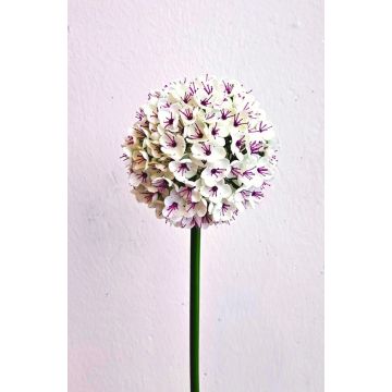 Kunstblume Allium LOKJAN, weiß-violett, 70cm