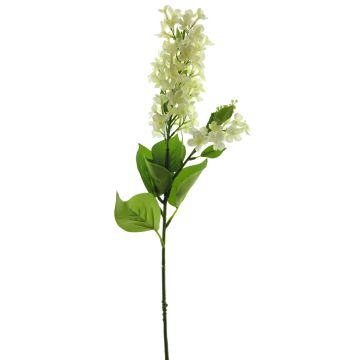 Dekoblume Flieder NAJUAN, creme, 80cm, Ø6-8cm