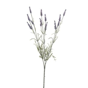 Künstlicher Zweig Lavendel JELLE, lila, 70cm