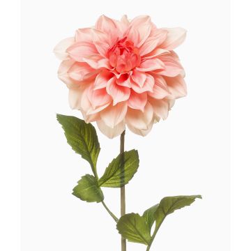 Künstliche Blume Dahlie REFOLG, pfirsich, 70cm Künstliche Blume Dahlie REFOLG, pfirsich, 70cm