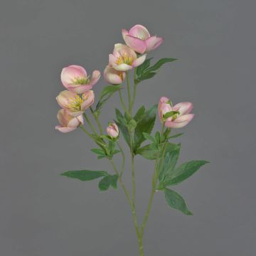 Kunst Christrosen Zweig ANYALA, rosa-weiß, 60cm, Ø5-6cm