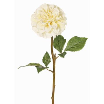 Kunstblume Dahlie BREDANA, creme, 60cm, Ø11cm Kunstblume Dahlie BREDANA, creme, 60cm, Ø11cm