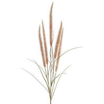 Deko Federborstengras AREVALO mit Rispen, beige, 135cm