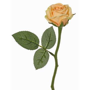 Kunstblume Rose GABI, pfirsich-creme, 30cm, Ø6cm Kunstblume Rose GABI, pfirsich-creme, 30cm, Ø6cm