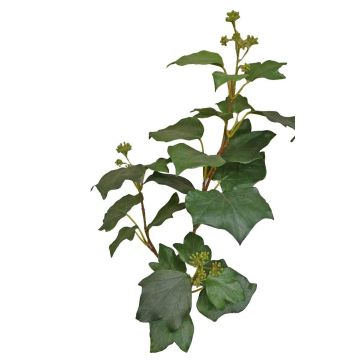 Künstlicher Efeu Zweig TOYAH mit Früchten, grün, 65cm Künstlicher Efeu Zweig TOYAH mit Früchten, grün, 65cm