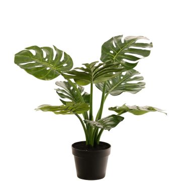 Deko Philodendron Monstera Deliciosa QUENTEA, Dekotopf, 60cm