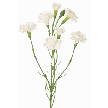 Dekozweig Nelke PIARA, weiß, 60cm, Ø3-5cm Dekozweig Nelke PIARA, weiß, 60cm, Ø3-5cm