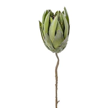 Nadelkissen Protea künstlich LINDAR, grün, 70cm