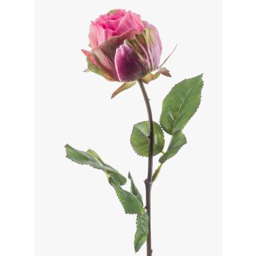 Deko Kunstblume Rose POPI, pink-grün, 55cm, Ø7cm