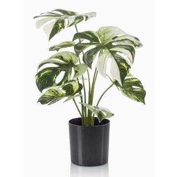 Kunstpflanze Philodendron Monstera Deliciosa Variegata ZAINE, grün-weiß, 40cm