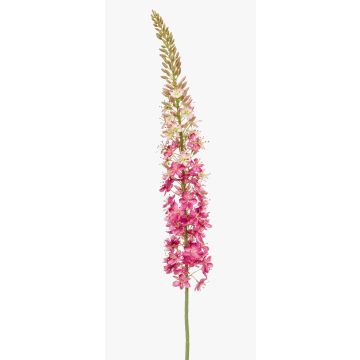 Künstliche Blume groß Steppenkerze NITTI, pink, 130cm Künstliche Blume groß Steppenkerze NITTI, pink, 130cm