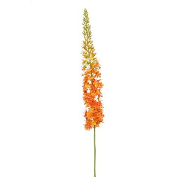 Künstliche Blume groß Steppenkerze NITTI, orange, 130cm